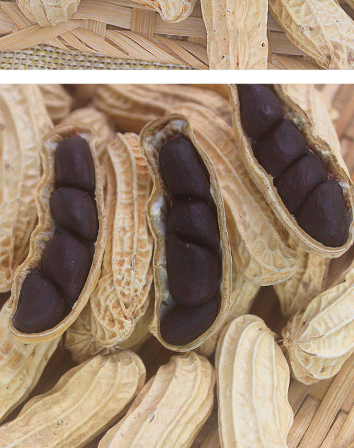 Yunnan Selenium Rich Black Peanut In Shell Raw Roasted Snack 250g preparation