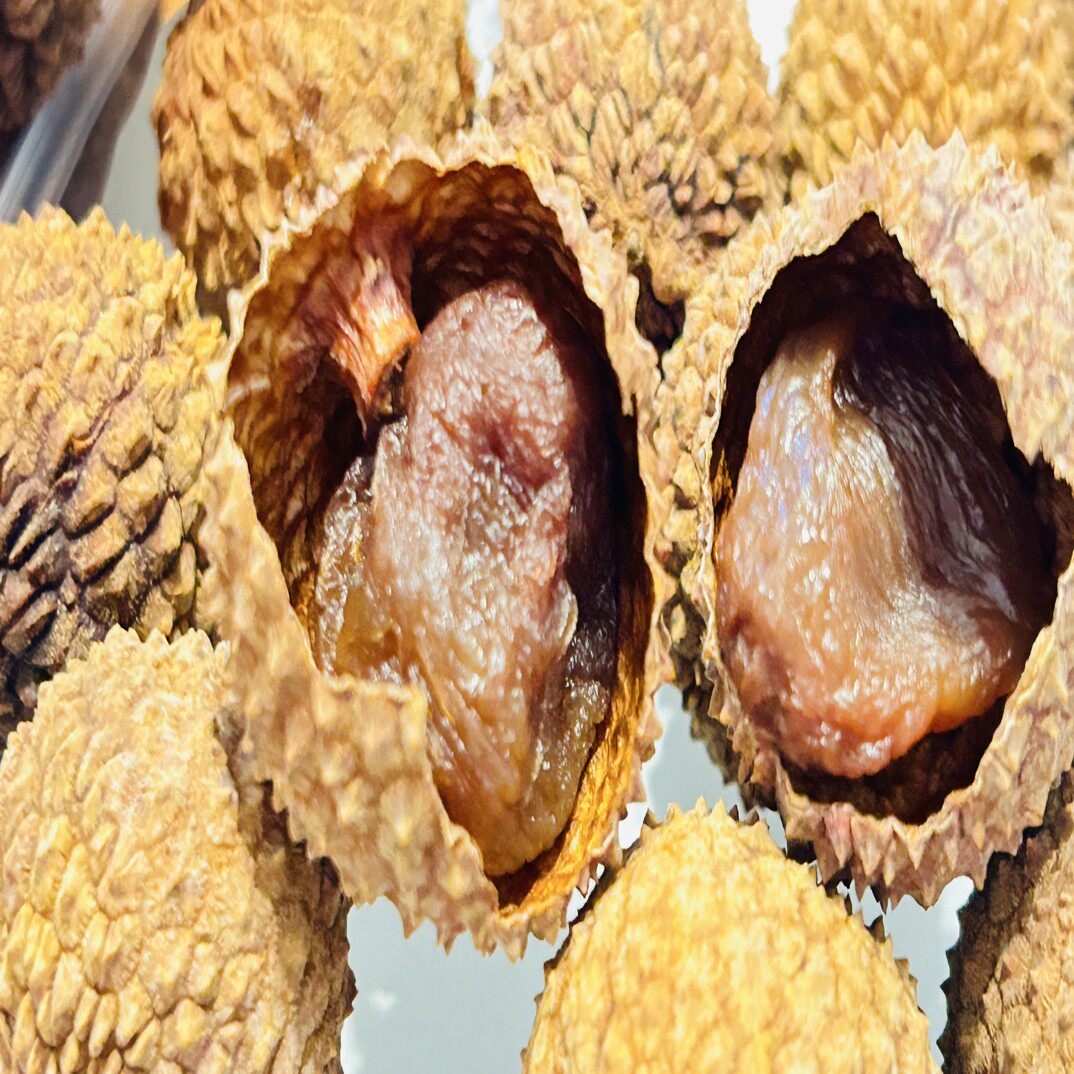 正宗福建大号荔枝干:核小肉厚的美味传奇-荔枝干-淘宝百科网