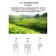 25-Year Spring Tea Gift Box Set, Rizhao Green Tea, Exquisite Gift Box Set of Field-Grown Tea, High Fragrance and Strong Flavor