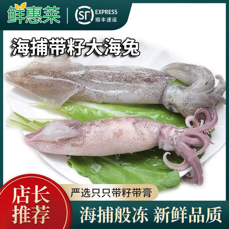 新鲜船冻笔管鱼海兔新鲜海兔鲜冻籽乌非半熟小鱿鱼水池