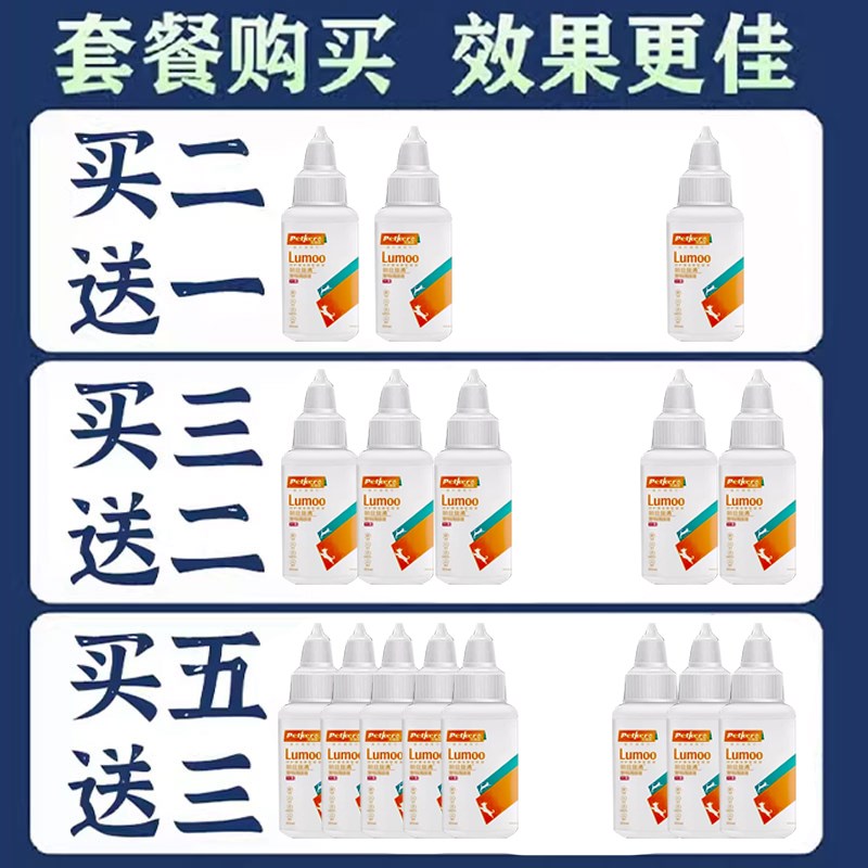 智能喂饮系统：信鸽生活品质的幕后守护者