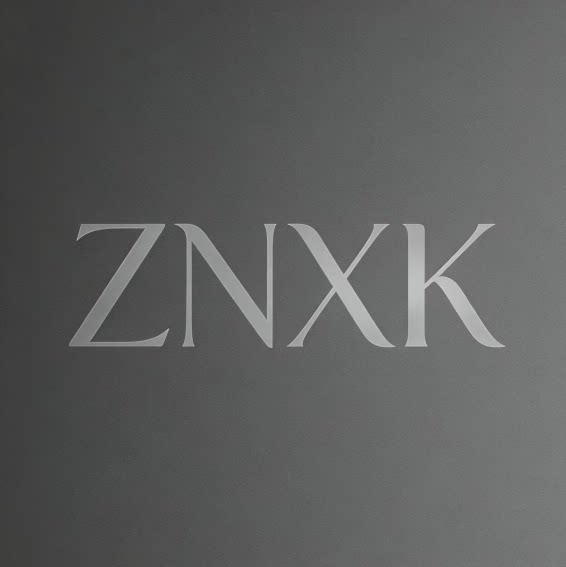 ZNXK旗舰店的LOGO
