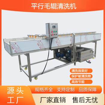Commercial large-scale parallel wool roller cleaning machine for cleaning fruits, roots, vegetables, seafood, chinese medicinal materials, multifunctional