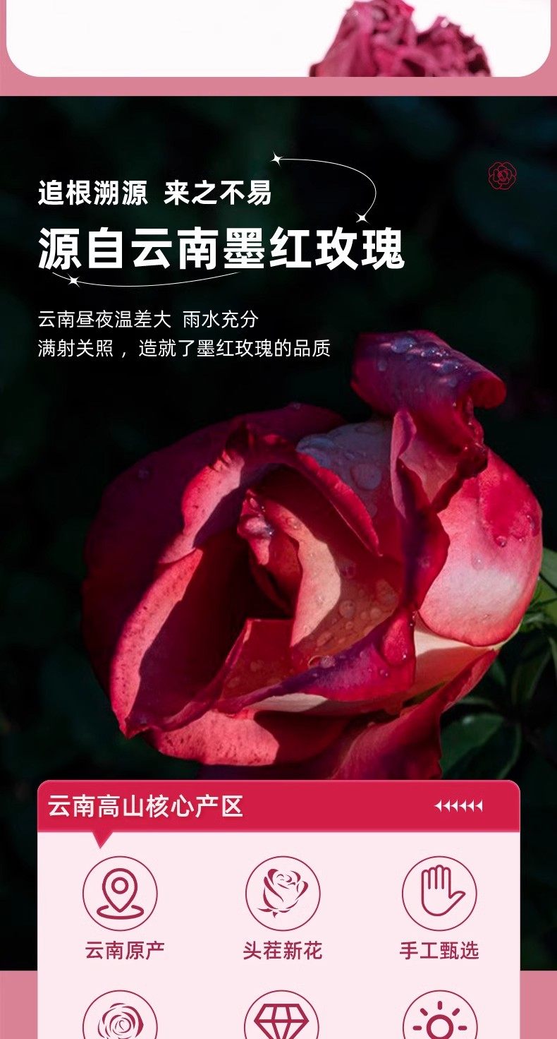 Mo Hong Rose Tea Yunnan Freeze Dried Mohe Red Rose Buds Large Whole Flowers for Cold Brew 30g quality and texture