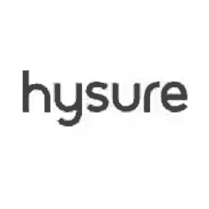 hysure海说狮盾专卖店