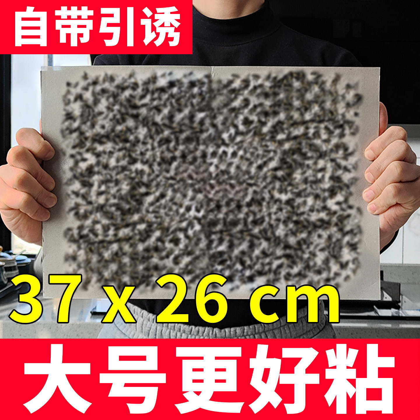 新款超大粘蝇板苍蝇贴20张强力粘蝇纸灭苍蝇捕捉神器家用养殖农场