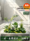 Simulated Green Plant Landscaping, High-End Simulated Plants, Realistic Indoor Landscapes, Fake Flowers and Trees, High-End Light Luxury Landscaping Decoration