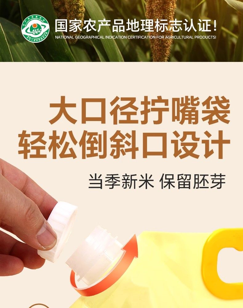 安享好物 安享A级小米-邹有才胚芽小米 企标 