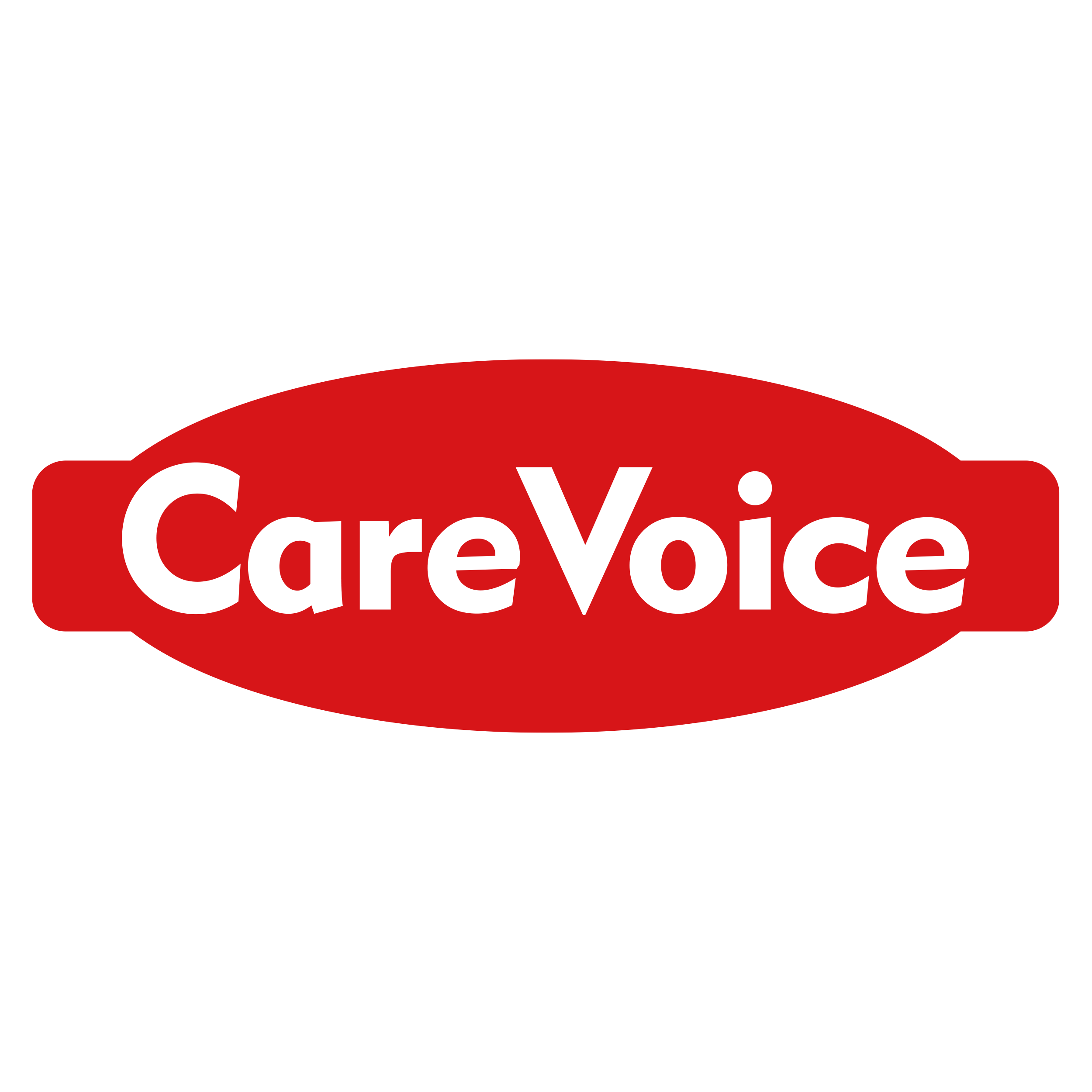 CareVoice海外旗舰店的LOGO