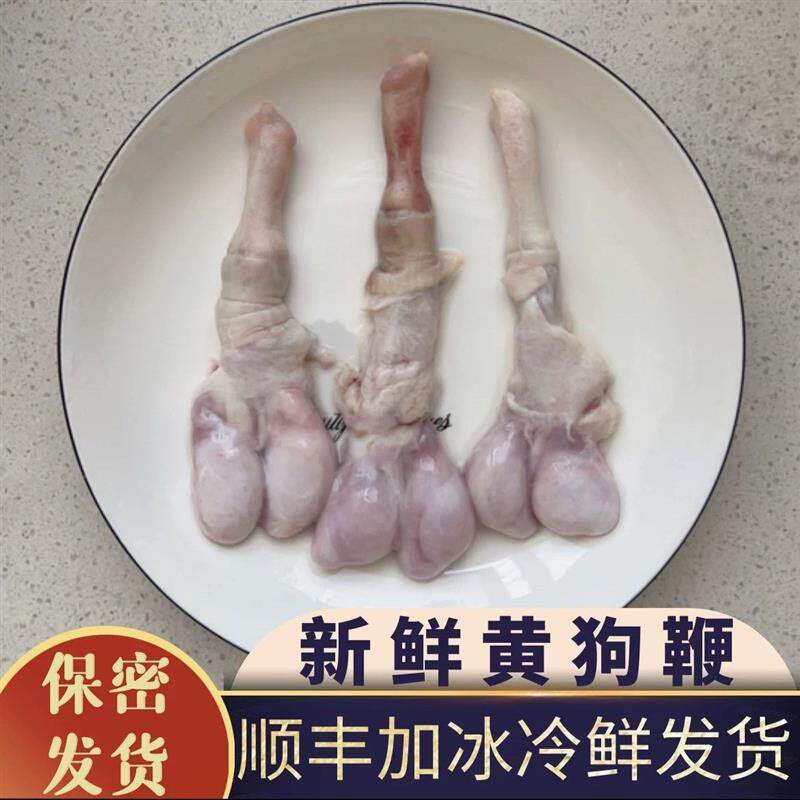 新鲜黄狗鞭5条10条黄狗肾泡酒料大狗鞭干男肾男性滋补煲汤黑狗鞭