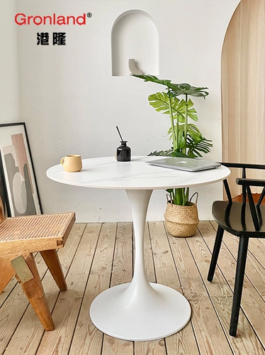 Северный тульпан ароматный скалолаза