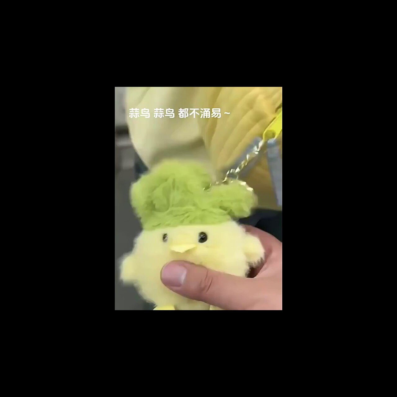 武汉文创蒜鸟发声玩偶，趣味与情怀并存的可爱礼物