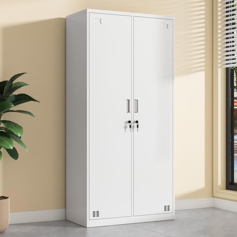 Thickened two-door iron leather double-door public storage cabinet with 985 lock factory employee dormitory bathroom two-door replacement