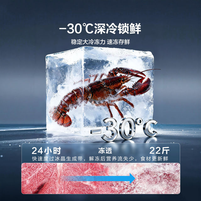 Haier Produces the Leader Haier Refrigerator, a Small 251L Household Model with First-Class Energy Efficiency, Frost-Free Cooling, Official Flagship Store