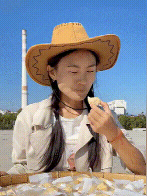 P_006.gif