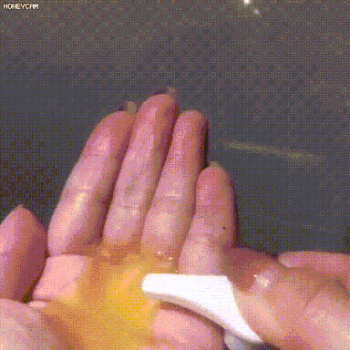 P_012.gif