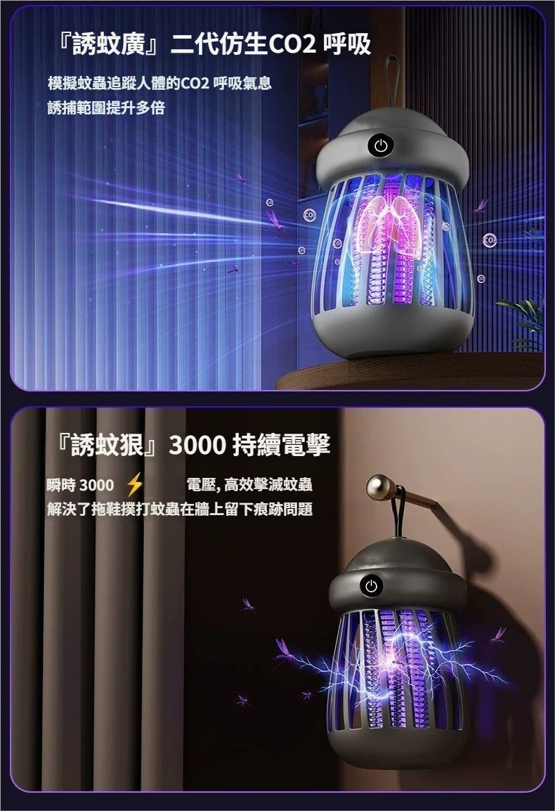 P_006.png