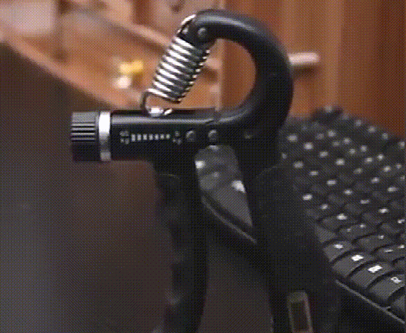 P_005.gif