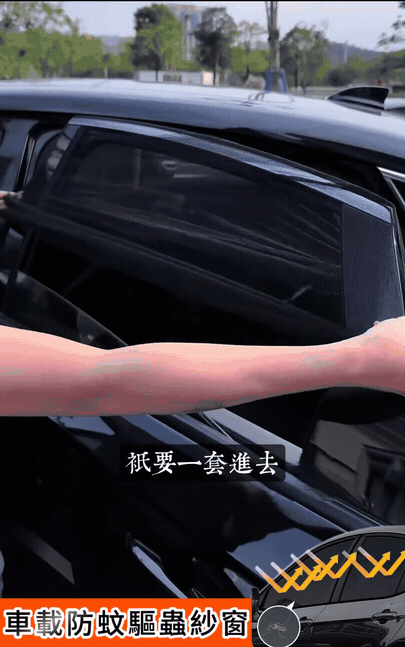 10005.gif
