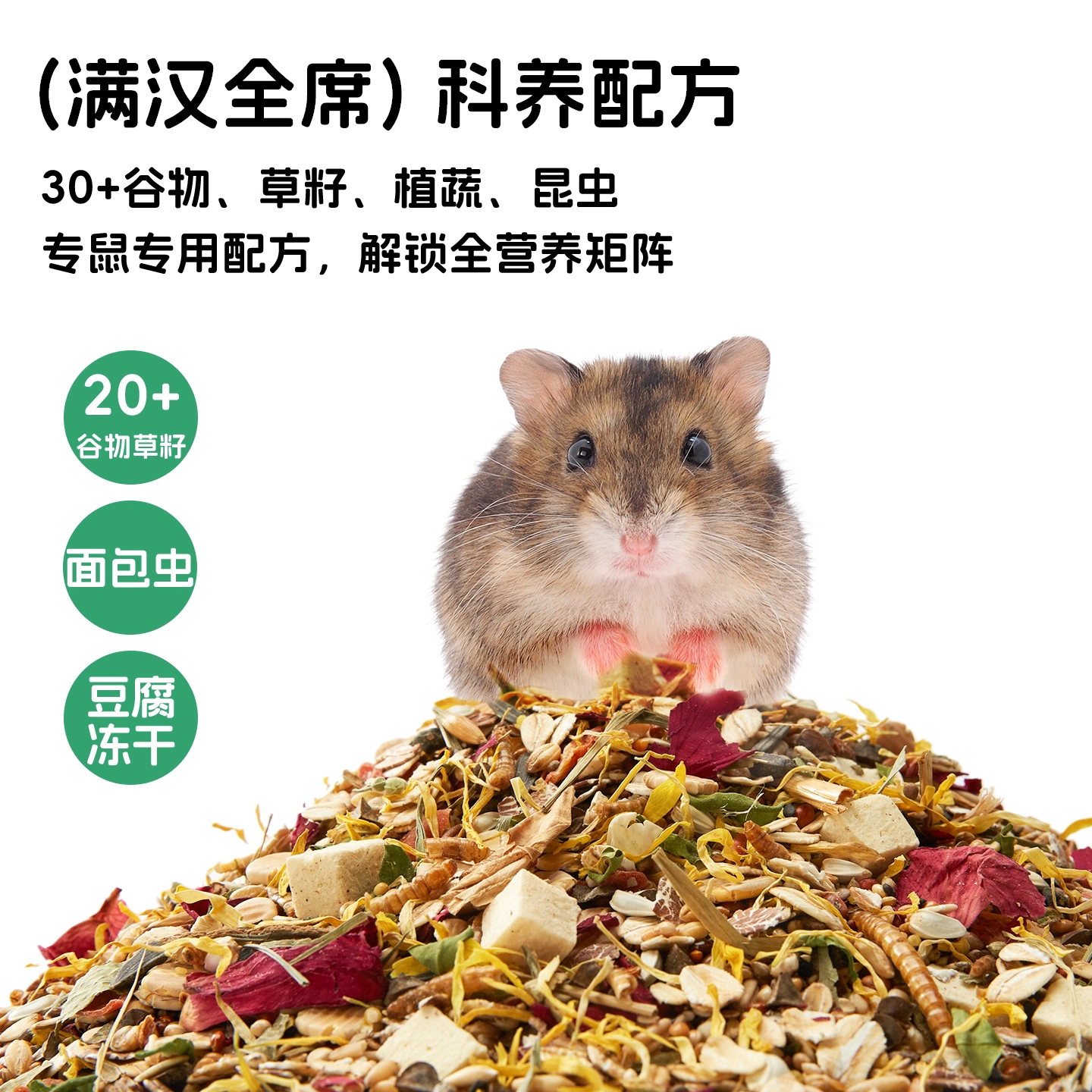 侏儒鼠金丝熊零食必备 🐹 | SANKO磨牙面包虫干-鼠类零食-淘宝好物网