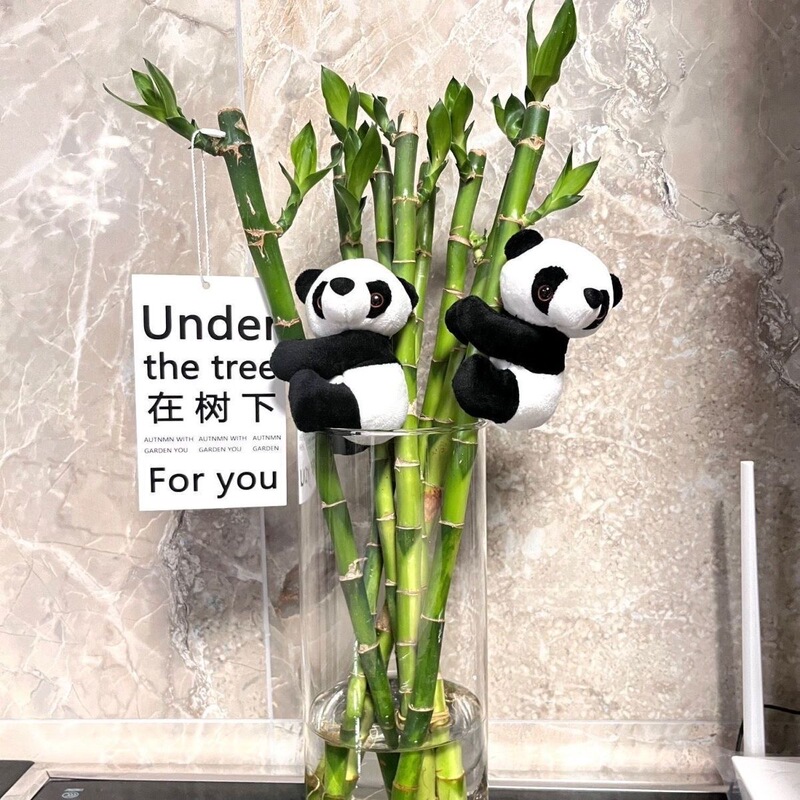 Green Plant Hanging Ornaments, Money Tree Decorations, Monstera Clips, Mini Panda Green Plant Hangers, Climbing Panda Ornaments Green Plant Hanging Ornaments, Money Tree Decorations, Monstera Clips, Mini Panda Green Plant Hangers, Climbing Panda Ornaments