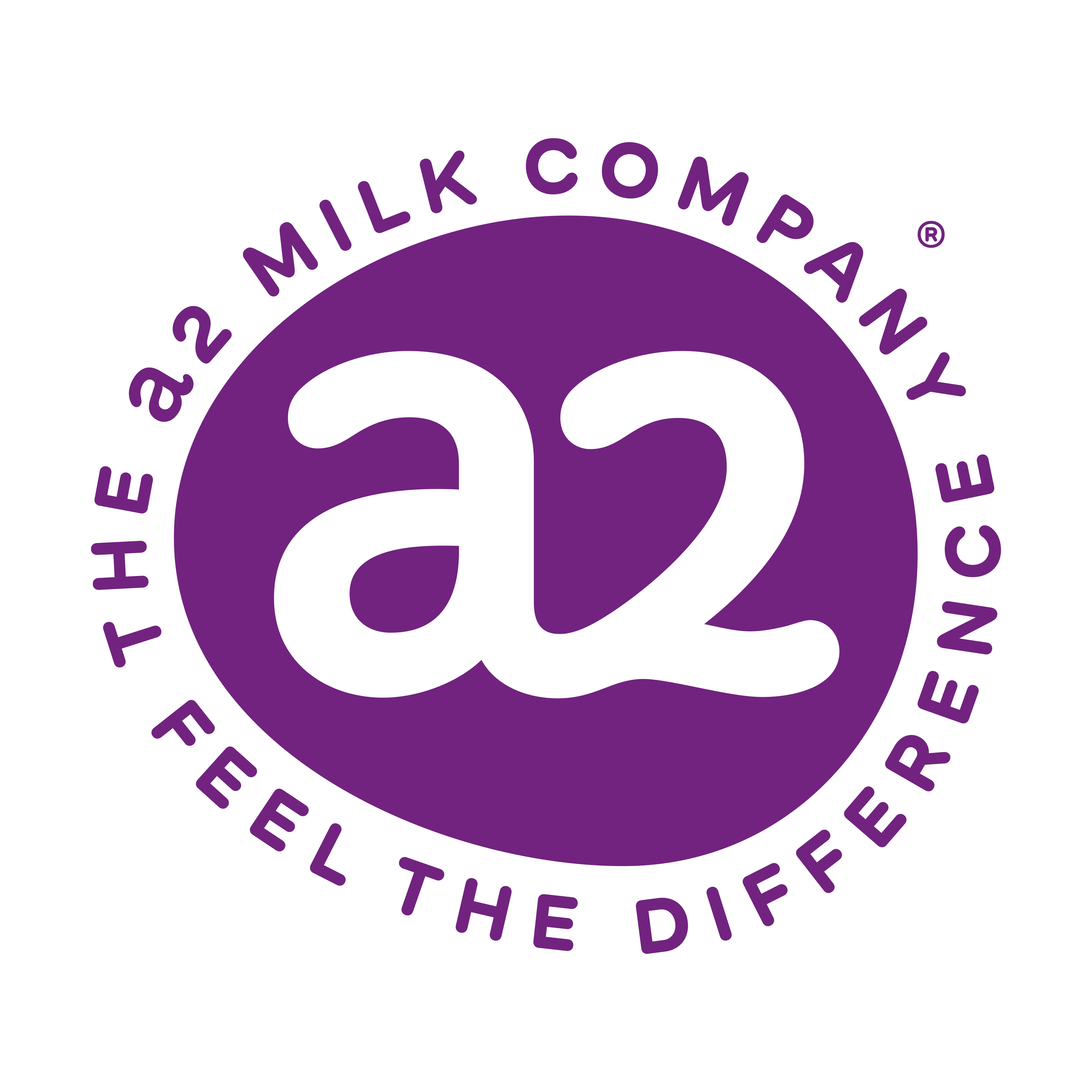 a2宝瑞亨海外专卖店的LOGO