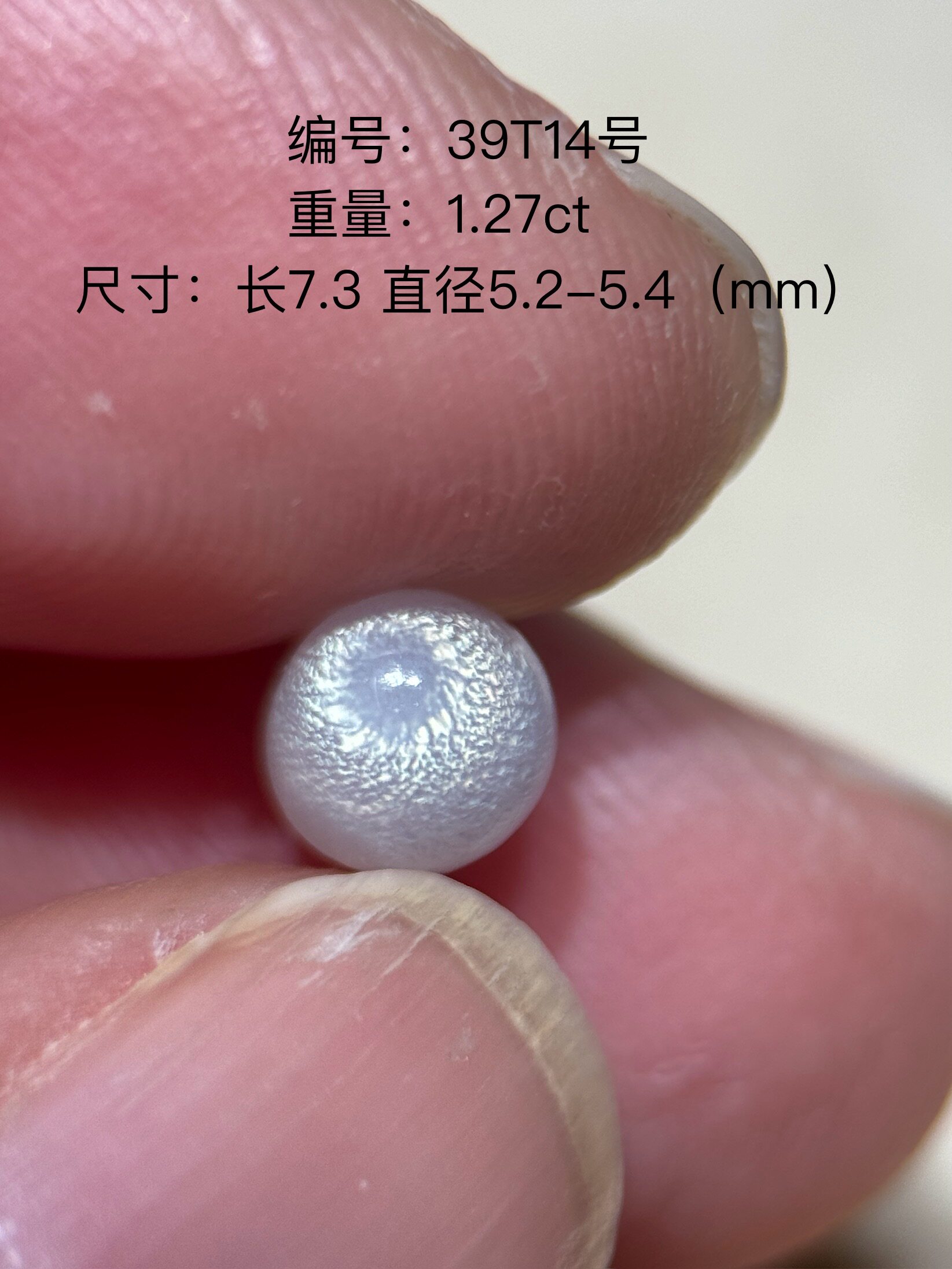 💍 白色孔克珠的魅力 💎 39T14号 海螺珠孔克珠大蛤珠-裸珠-淘宝好物网