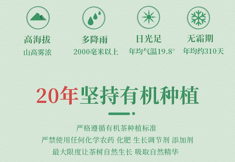 安享好物 安享S级绿茶-有机浓香绿茶 国标 