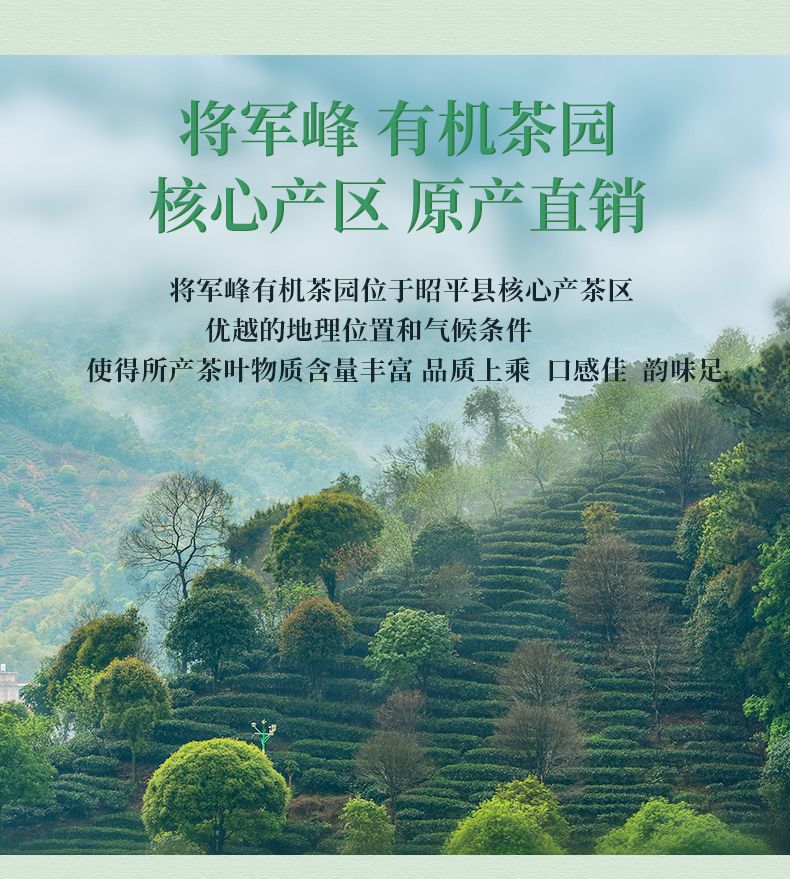 安享好物 安享S级绿茶-有机浓香绿茶 国标 