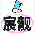 宸靓家居旗舰店的LOGO