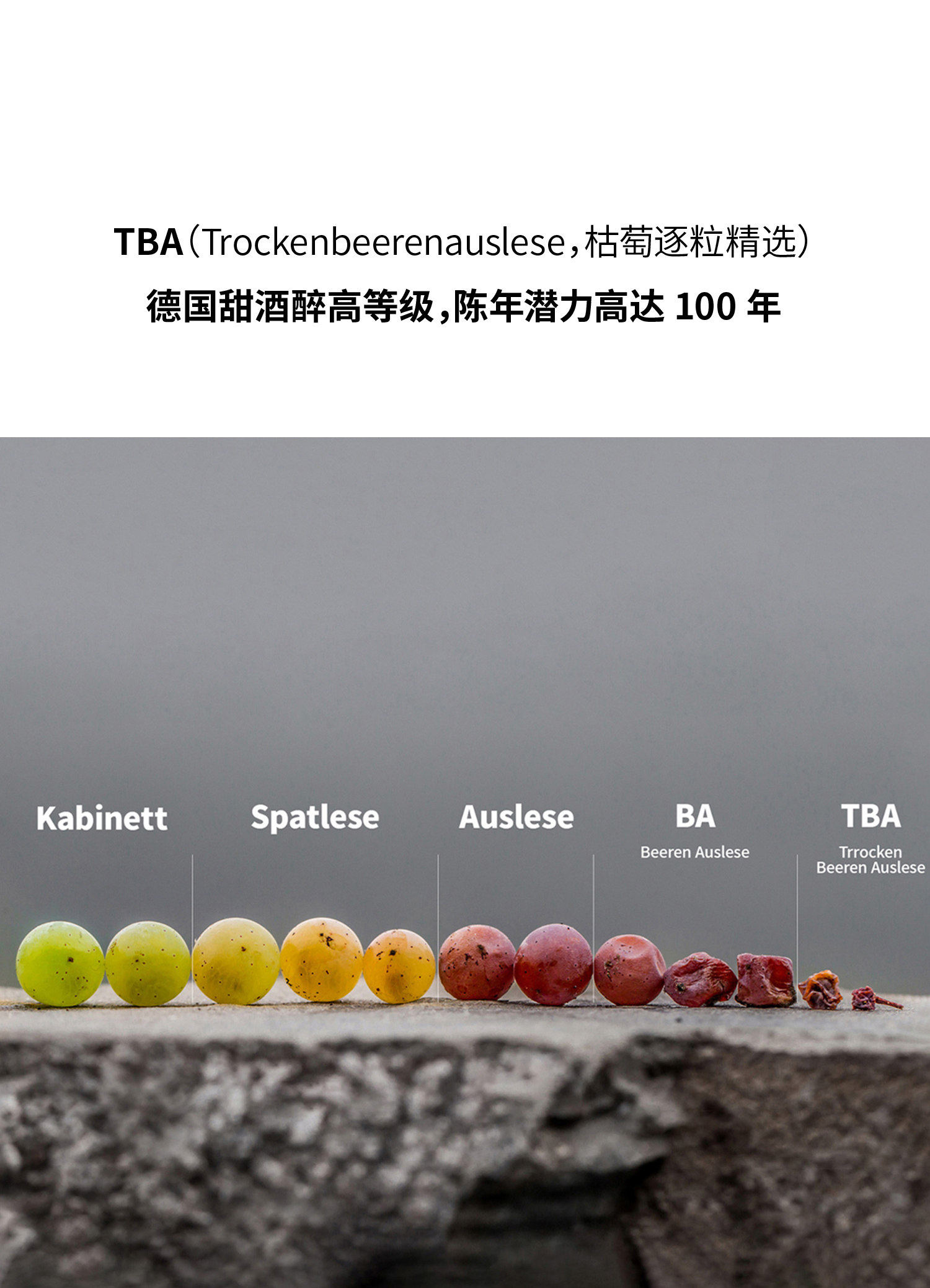 安享好物 安享S级葡萄酒-伊贡穆勒沙兹堡特级园 枯萄精选白葡萄酒  