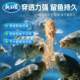 Dragon King hates ຜະລິດຕະພັນໃຫມ່ Spirulina carp bait ການຫາປາ luring ປາປະສົມນ້ໍາຫອມຫນອງອະນຸພາກຂະຫນາດໃຫຍ່ carp black pit