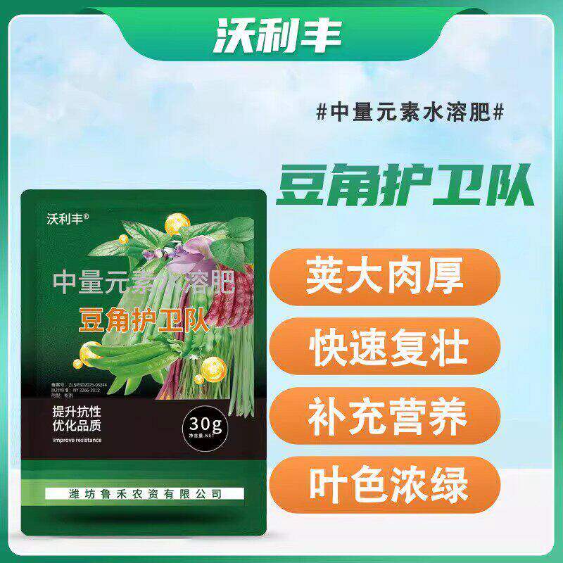 为什么要选择扁豆一扎?需要拍邮费的注意事项?-商务用花-淘宝百科网