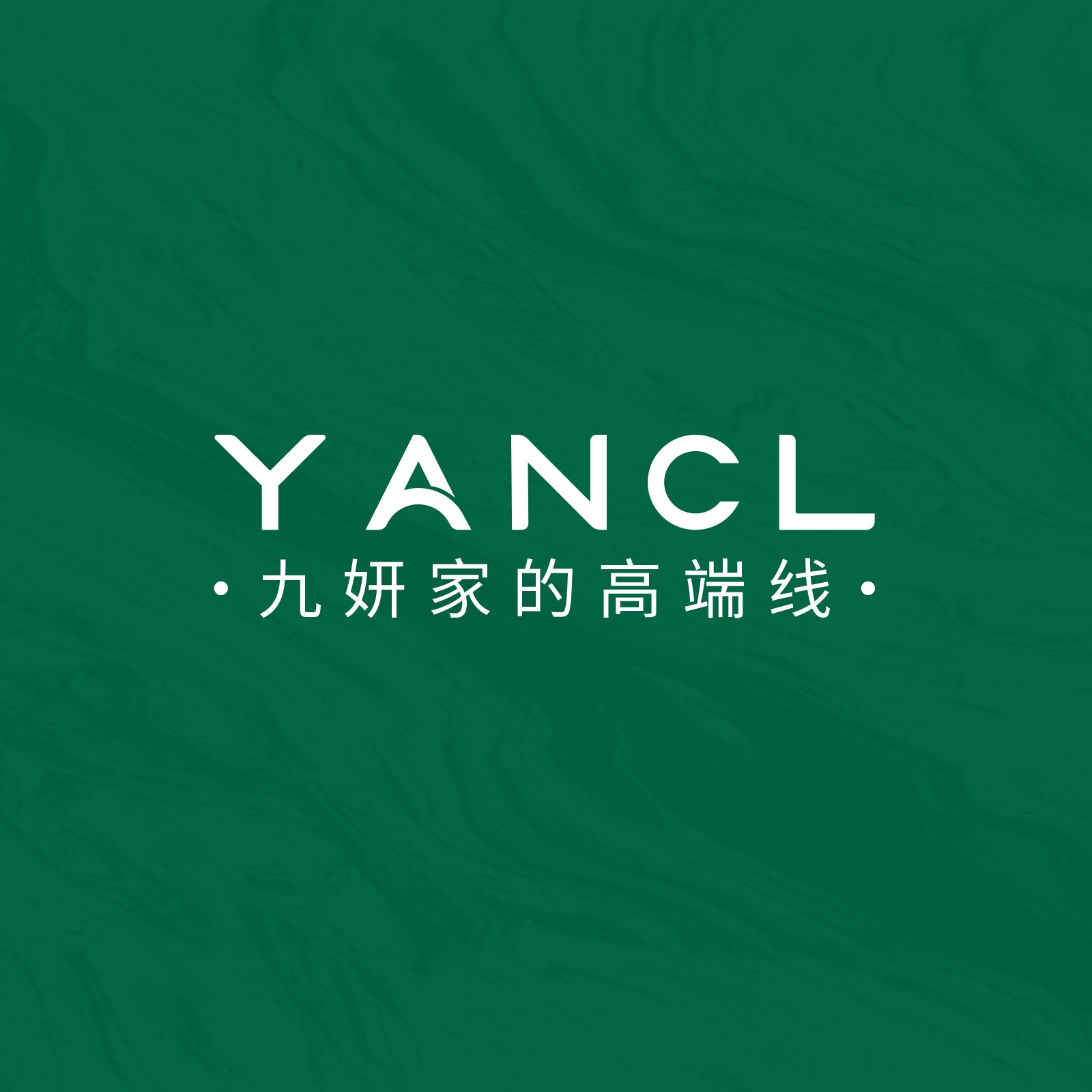 九妍旗舰店的LOGO