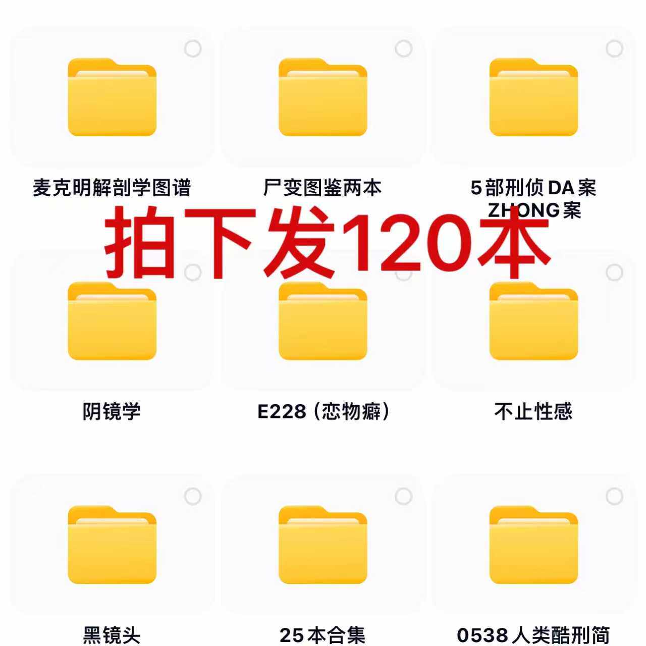 死後変化、負傷、交通事故による負傷の図解を含む、120点の完全な法医学イラスト（電子版）。