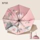 Parasol