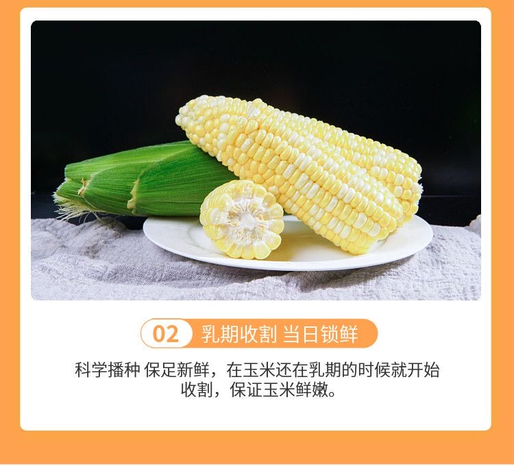 O1CN01jDrEo021v7o2cdl5c_!!2222088967046-0-scmitem176000.jpg