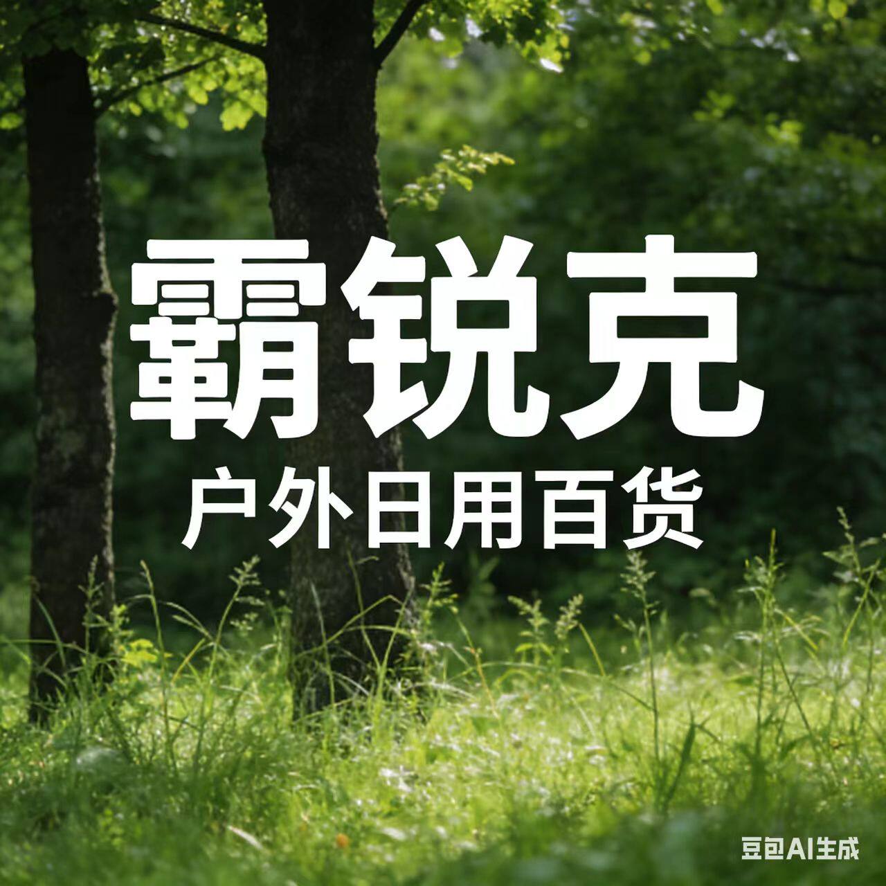 霸锐克居家户外日用百货的LOGO