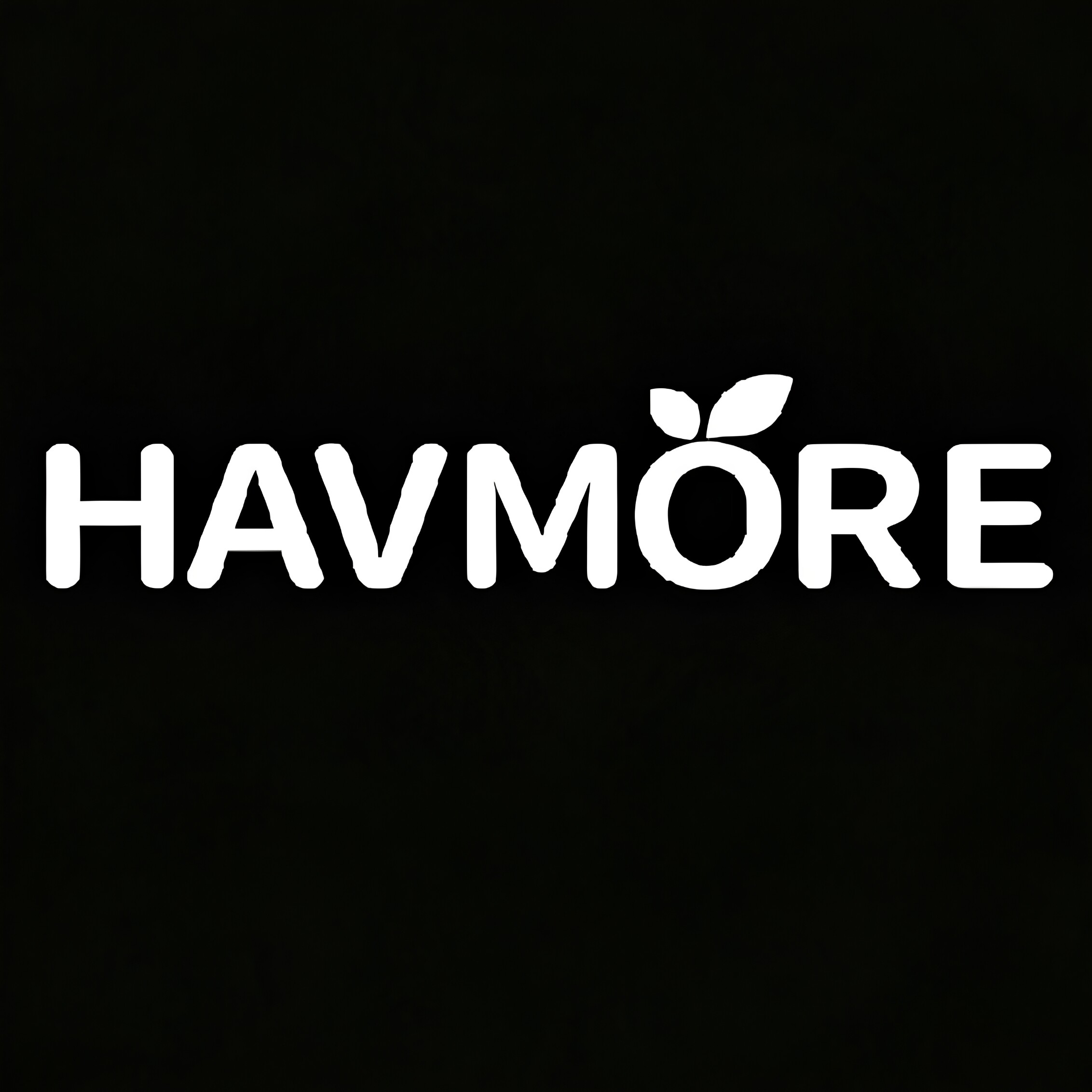 HAVMORE烽尼斯专卖店