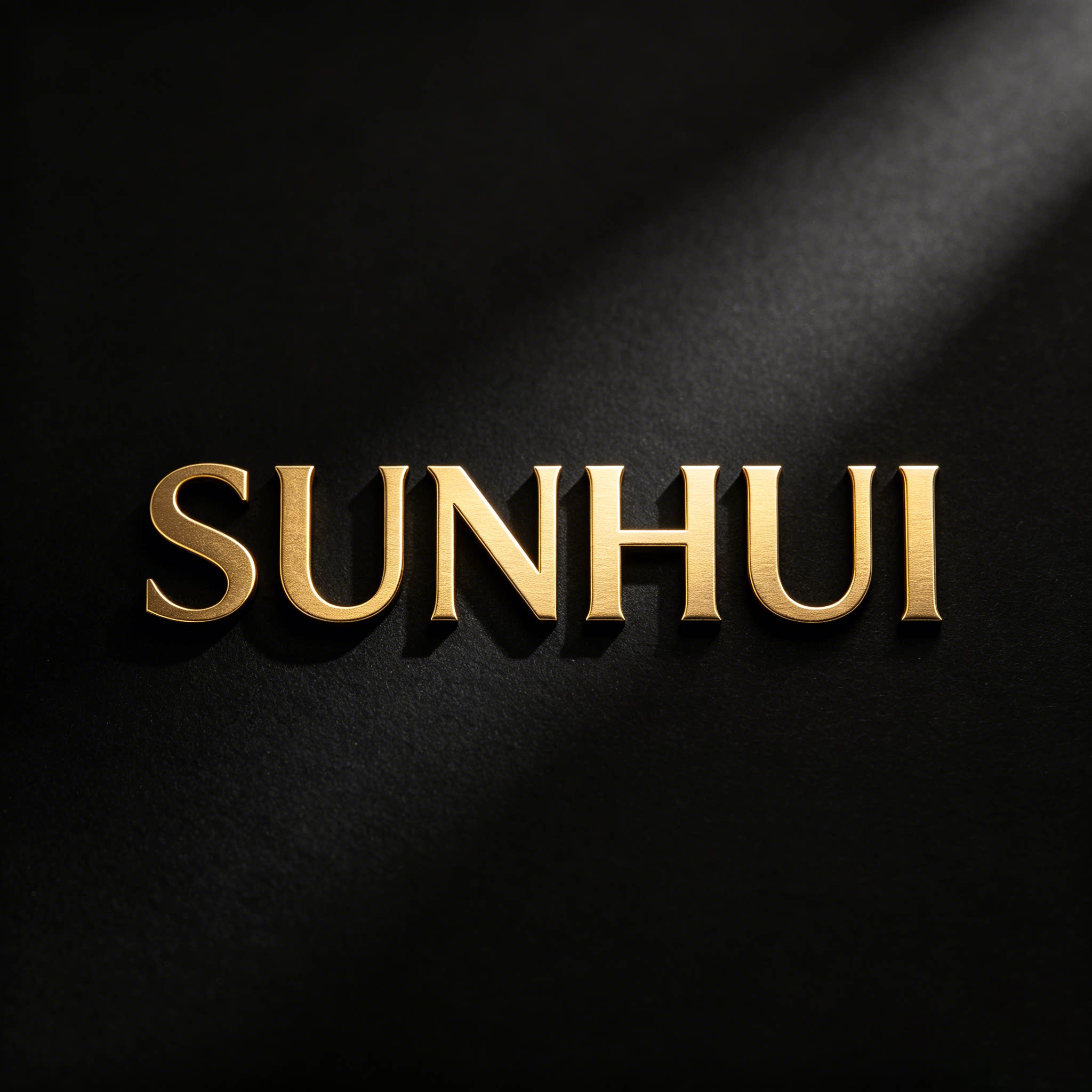 SUNHUI企业店的LOGO