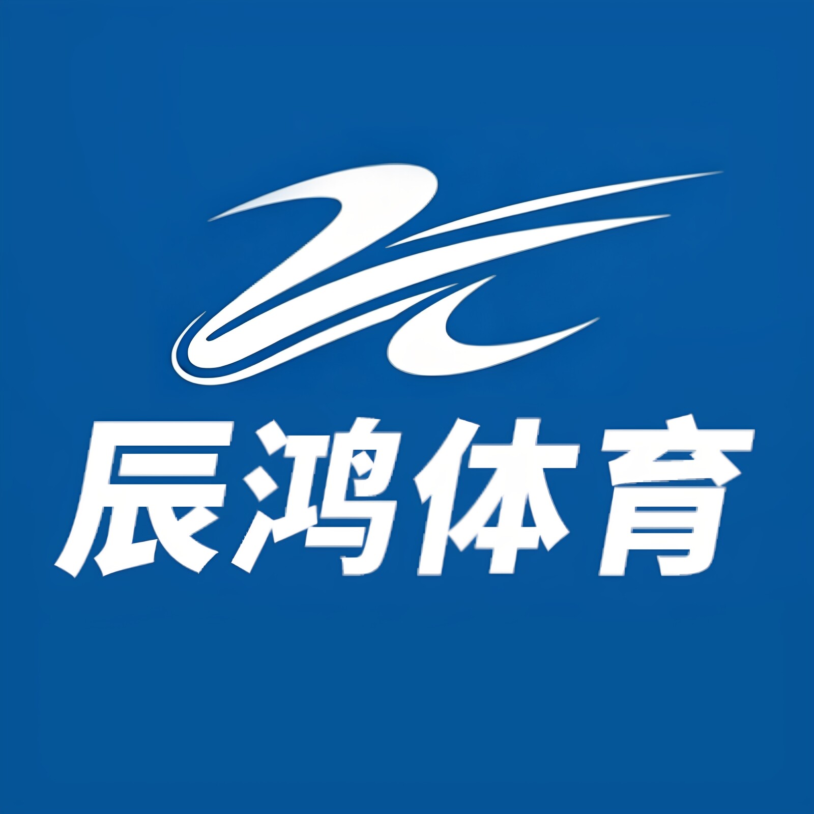 辰鸿体育