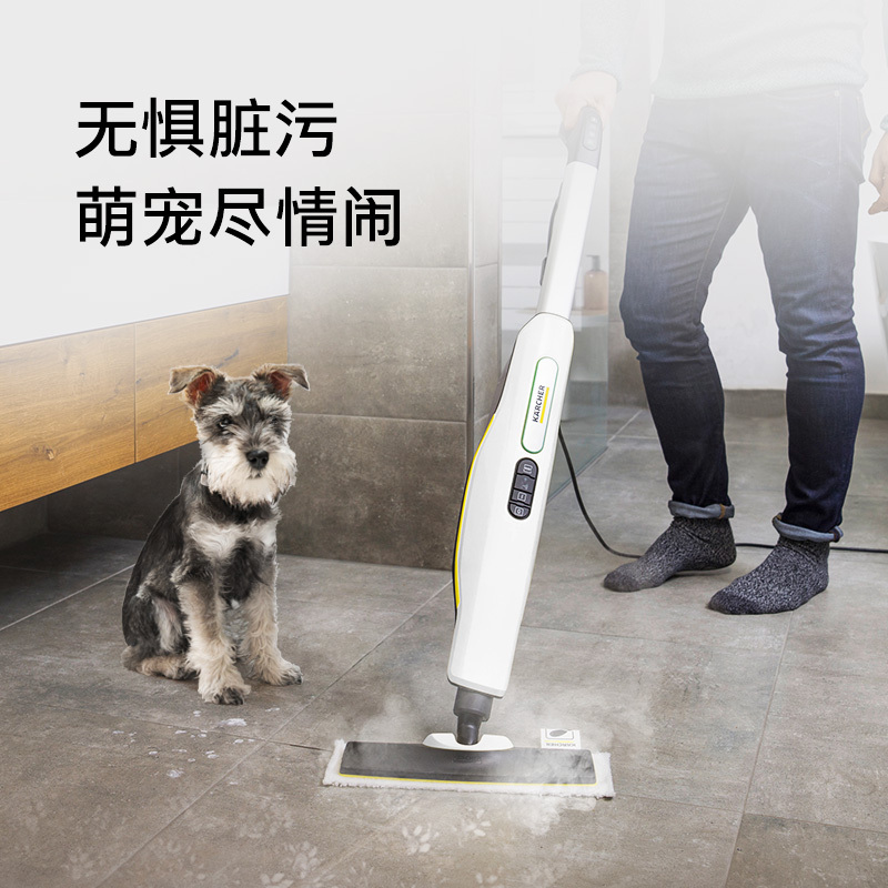German Oil-Based Steam Mop Handheld for Home Use, High-Temperature Sterilization for Carpets, Odor Removal, Physical Cleaning for Kitchen.Ctk30 German Oil-Based Steam Mop Handheld for Home Use, High-Temperature Sterilization for Carpets, Odor Removal, Physical Cleaning for Kitchen.Ctk30