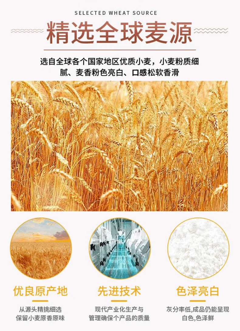 安享好物 安享B级小麦面粉-五得利九星面粉 国标 