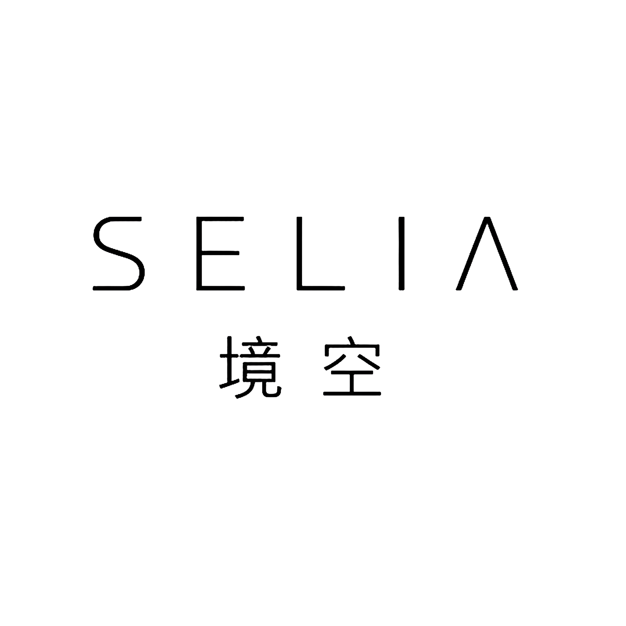 SELIA境空