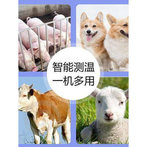 2026年动物测温仪怎么选？为什么防疫场景下红外线测温仪成通用首选？