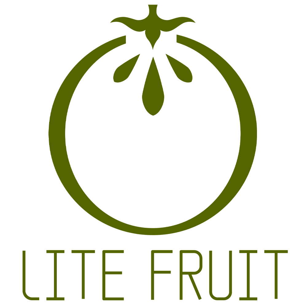 轻果食研食品专营店的LOGO