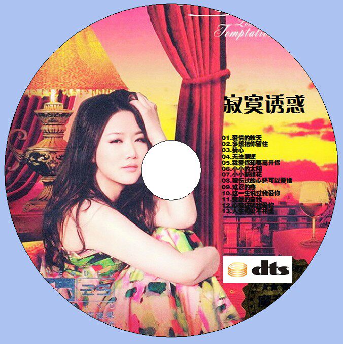 Sun Lu Lonely Temptation Lonely Winding DTS-CD Fever 5 1 Surround Channel 2CD T224