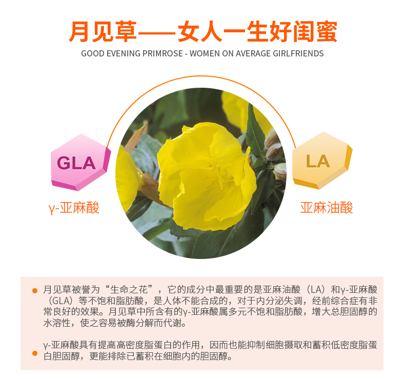 Dr.Peter Hartig德国dph月见草软胶囊 呵护卵巢保养更年期痛经 ¥109.00 产品系列 第3张 Dr.Peter Hartig德国dph月见草软胶囊 呵护卵巢保养更年期痛经 ¥109.00 产品系列 第3张