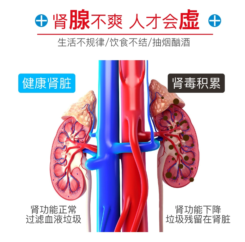 Dph Đức thận và viên nang thận thận tính toán sản phẩm sức khỏe răng miệng nam chuẩn bị cho tuyến tiền liệt mang thai - Thức ăn bổ sung dinh dưỡng thuốc bổ mắt omega 3