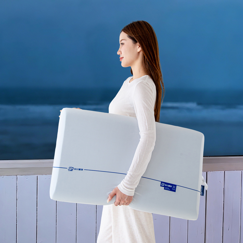 Newly Upgraded Duoer Planet Hotel Style Deep Sleep Memory Pillow Gift Box Yc